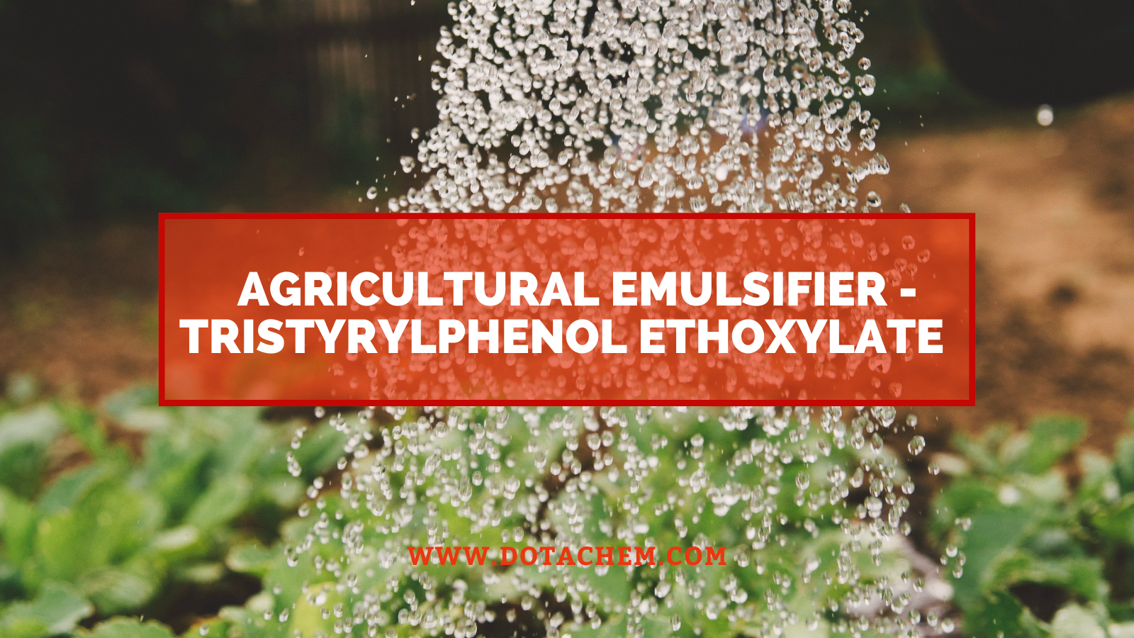 A new choice for agricultural emulsifier - Dotachem's Tristyrylphenol Ethoxylate is professionally supplied!