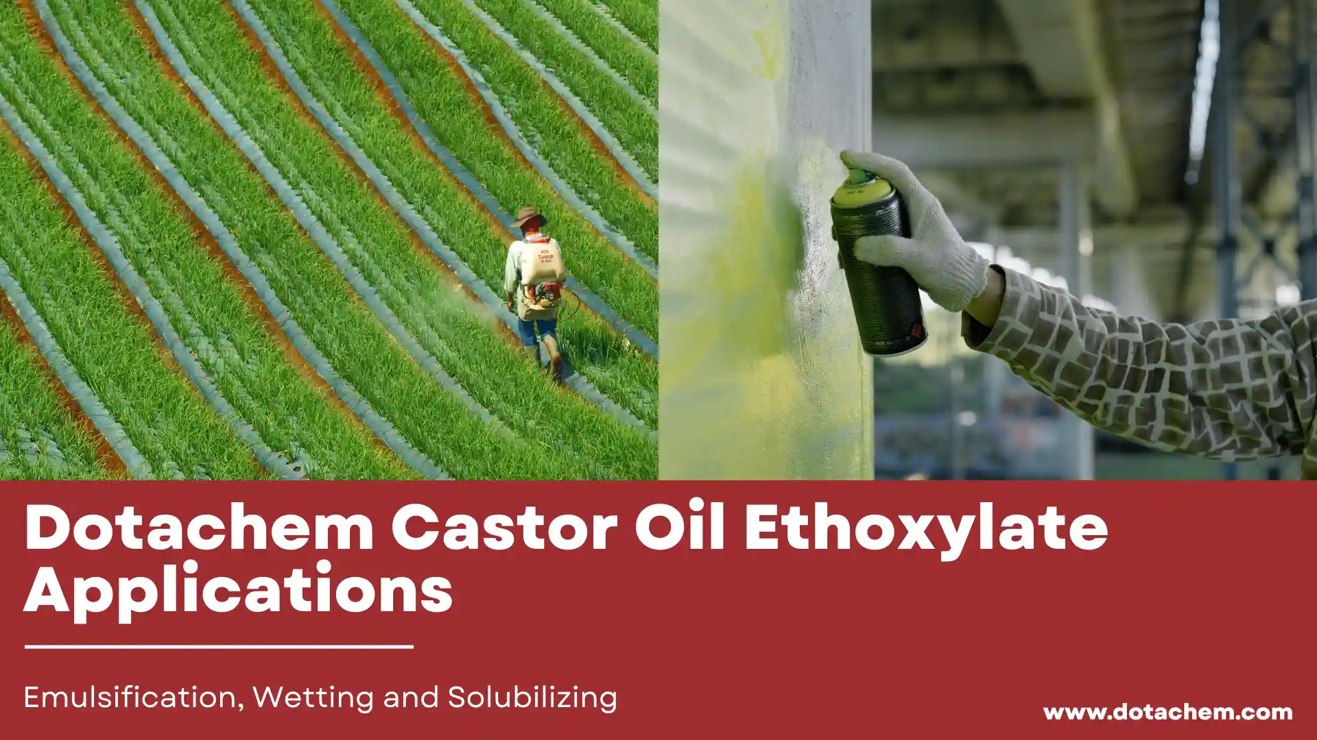 Dotachem Castor Oil Ethoxylate Applications in Emulsification, Wetting and Solubilizing