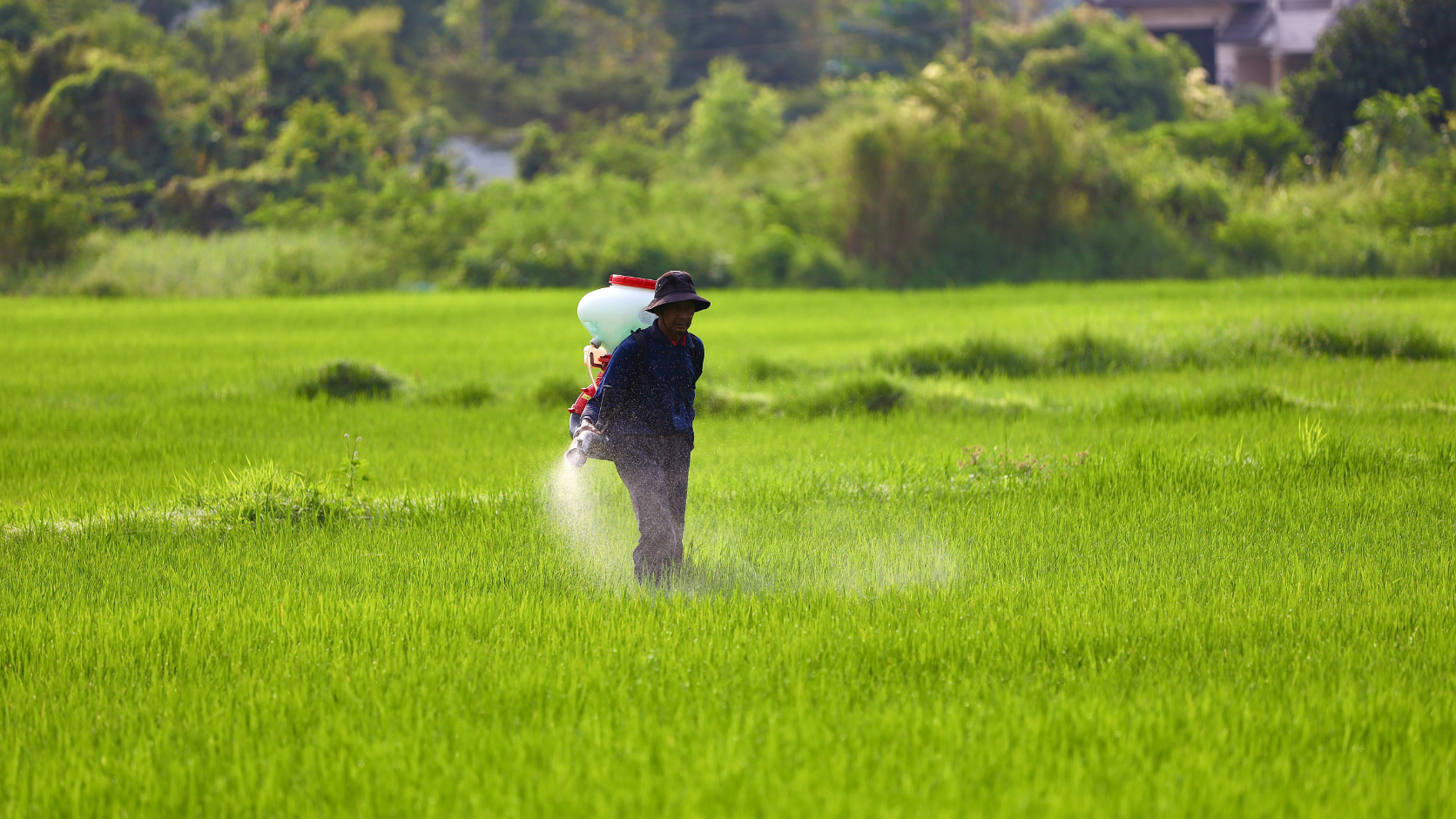 What Is Monoethanolamine Used for in Agrochemicals?